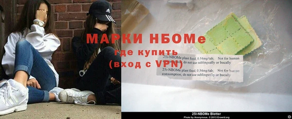 стаф Майский